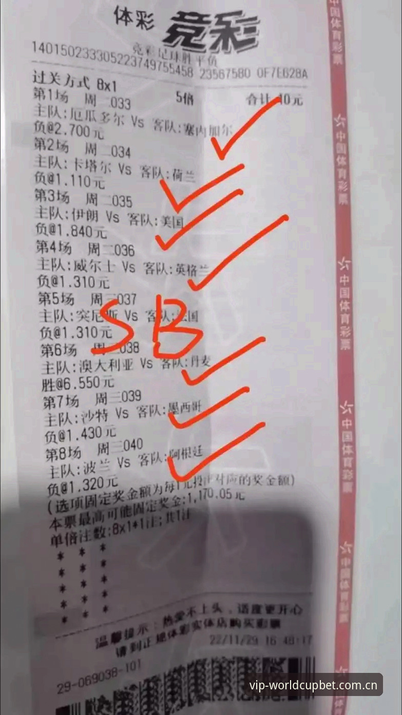 资深用户分享：世界杯竞猜VIP通道体验官方下载的实战心得