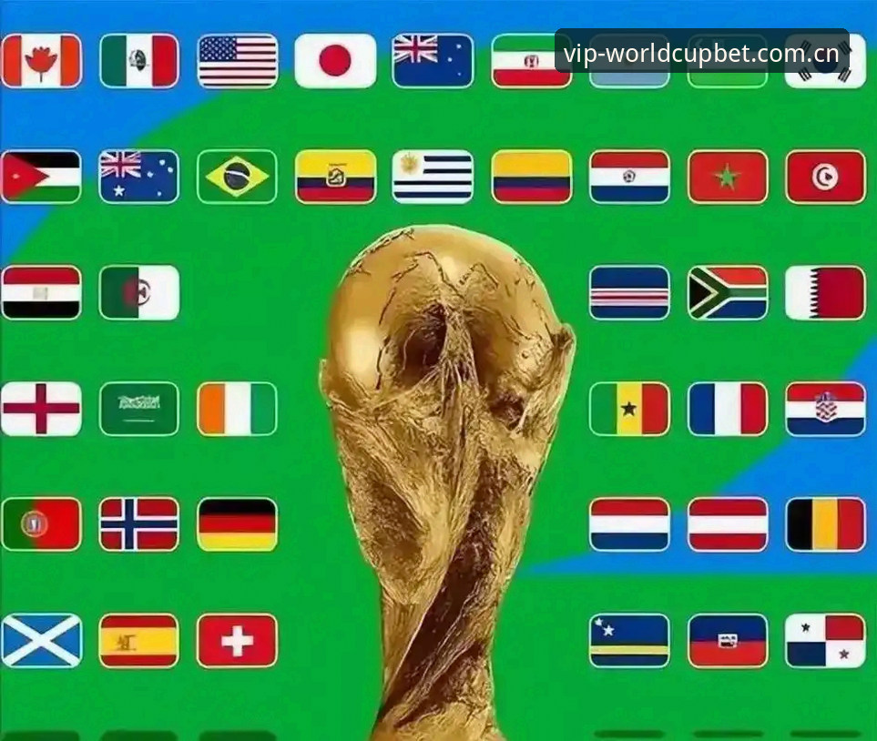 世界杯VIP通道价格 2026世界杯VIP通道价格全面解析:从实战角度拆解竞猜专属权益